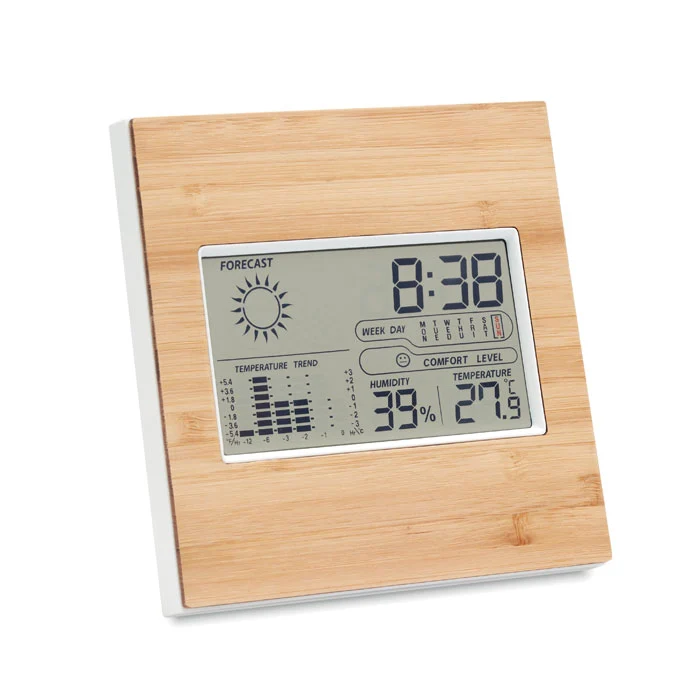 Wetterstation Bambusfront
