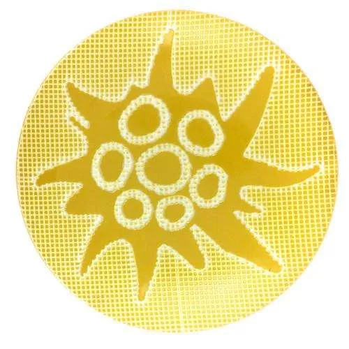 Trachtenknopf Edelweiß Gelb – Kunststoffknopf TKK-25