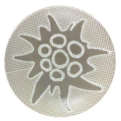 Trachtenknopf Edelweiß Beige – Kunststoffknopf TKK-25