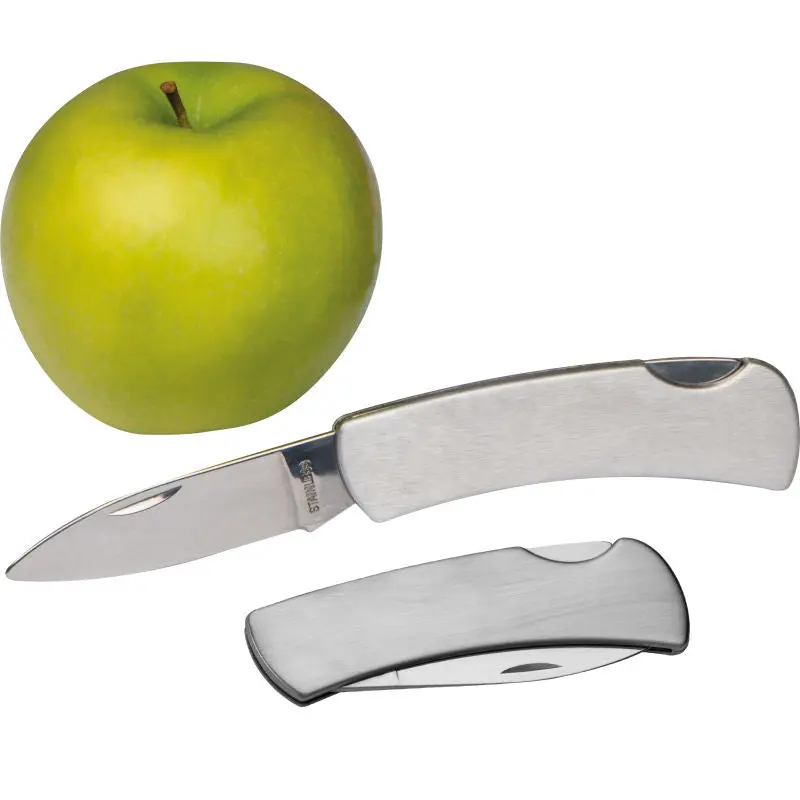 Taschenmesser aus Edelstahl mit Sicherheitsverschluss: Silbergrau, Robust, Vielseitig