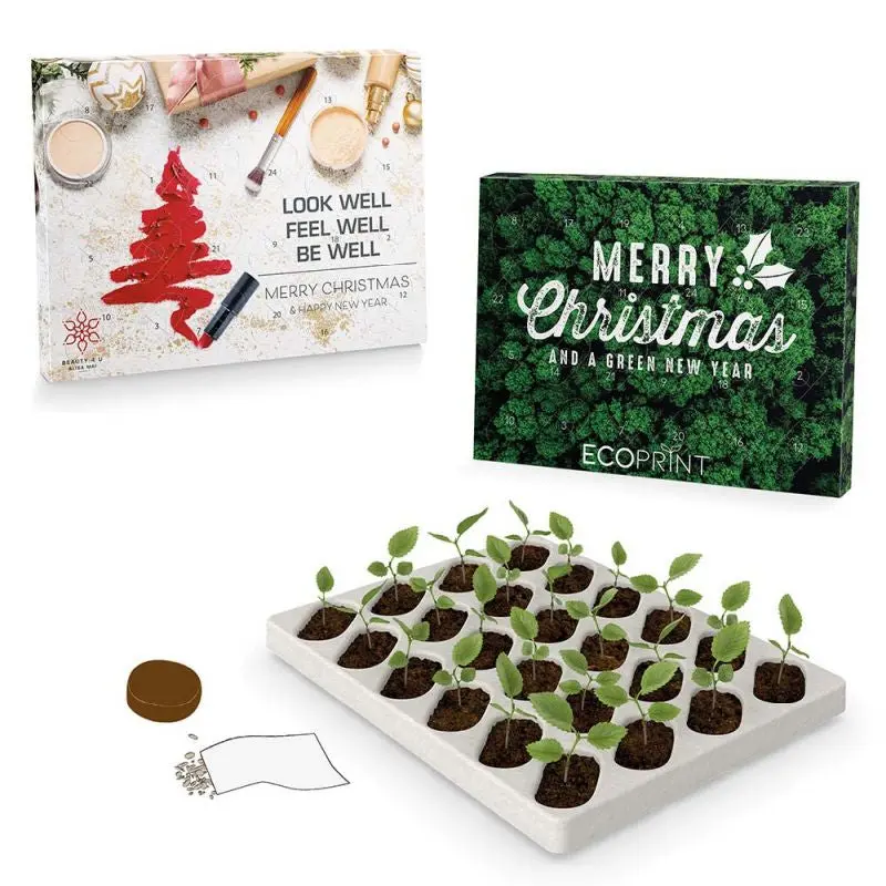 Adventskalender mit Pflanzsets - Täglich ein neuer Samen wächst