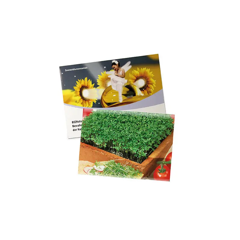 Großes Basilikum-Samentütchen aus Standardpapier – Ideal für Gartenliebhaber