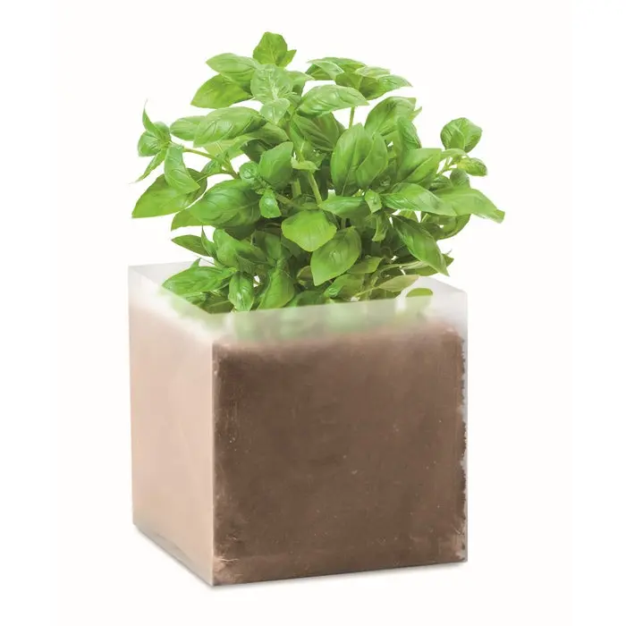 Pflanz-Kit für Basilikum BASIL in Beige - Komplettset zur Kräuterzucht