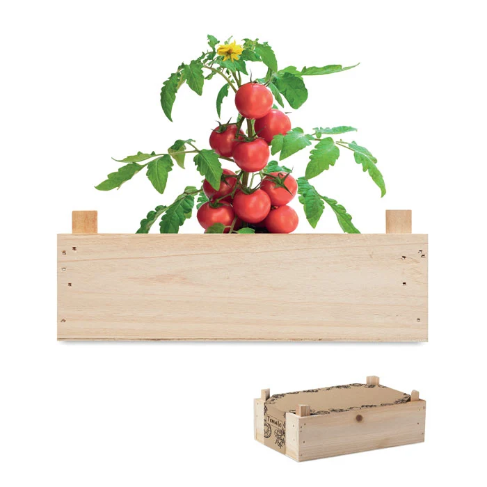 Tomaten-Set in Holzkiste