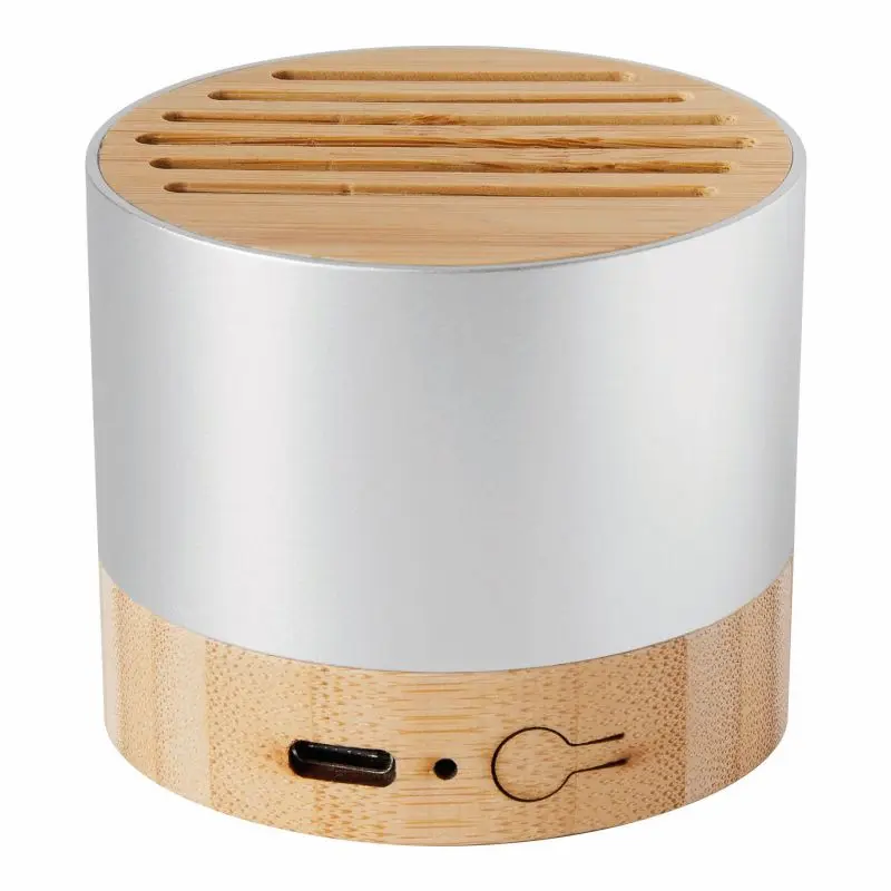 PURE SOUND Kabelloser Lautsprecher Silber - Klarer Klang, Elegantes Design