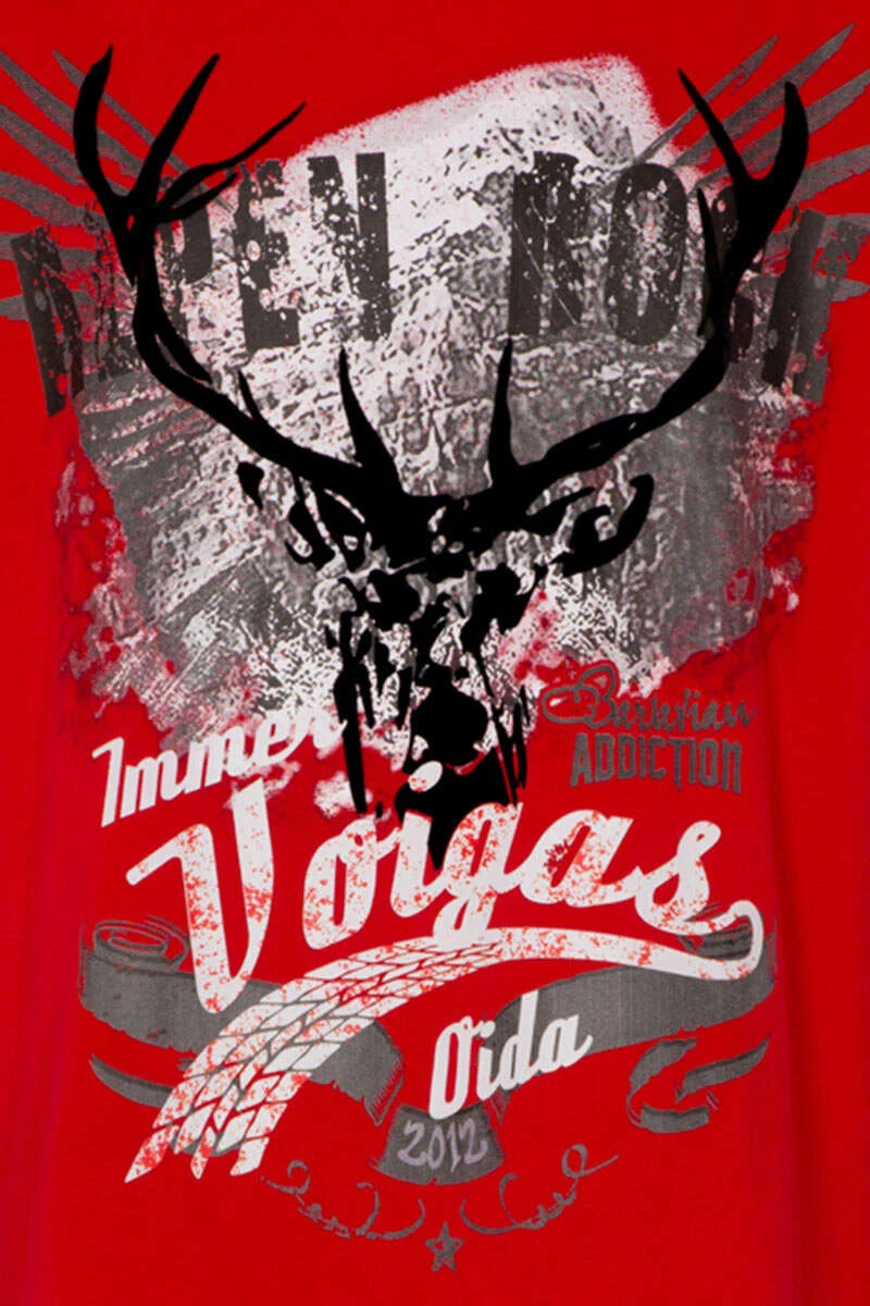 Herren Stretch T-Shirt 'Alpen Rock'