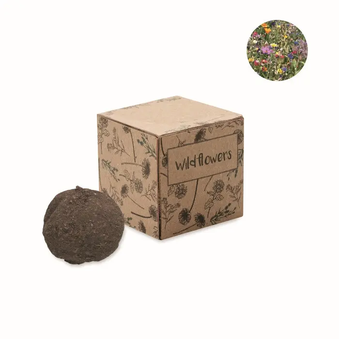 BOMBI Wildblumen Saat-Set - Natürlich & Schick in Beige