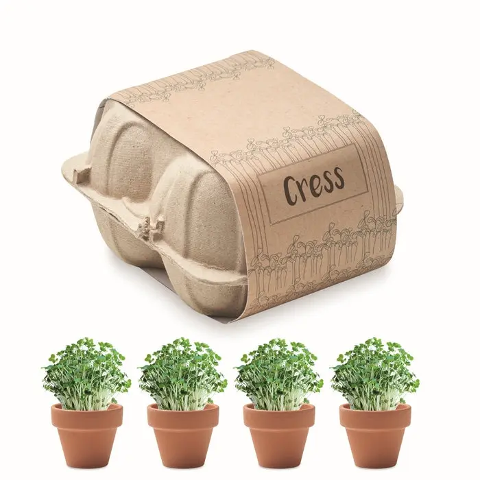 Kresse-Saat-Set 'CRESS' in Beige - Einfach & Schnell Anzucht