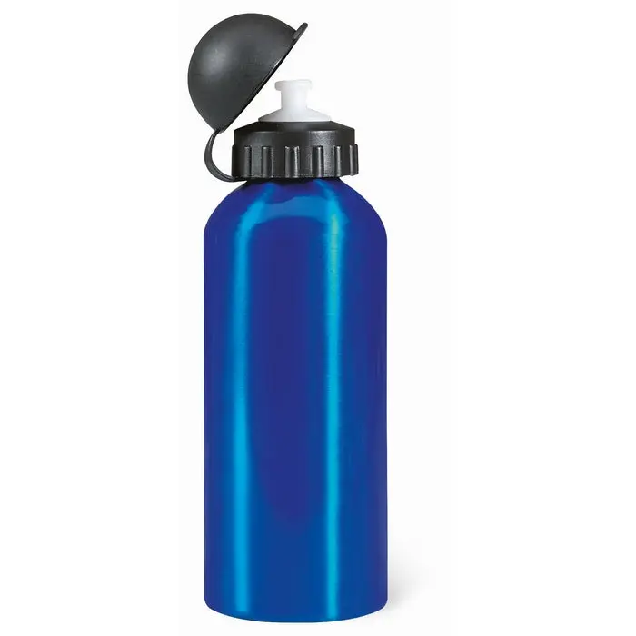 BISCING Aluminium Trinkflasche 600ml in Blau - Leicht und Langlebig
