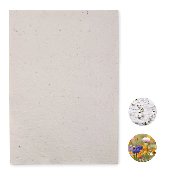 A4-Bogen aus Wildblumensamenpapier