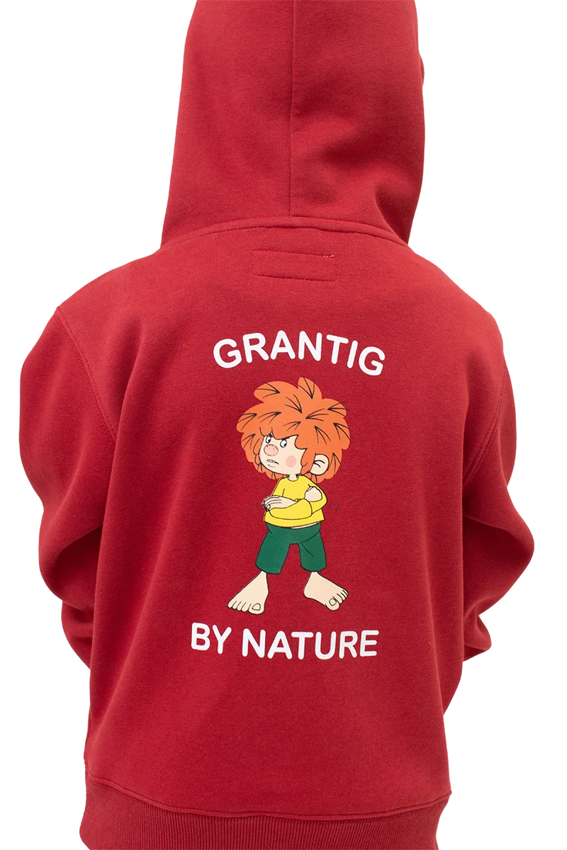KS22 GRANTIG BY NATURE V2