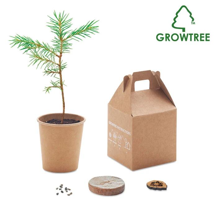Kiefernbaum-Set