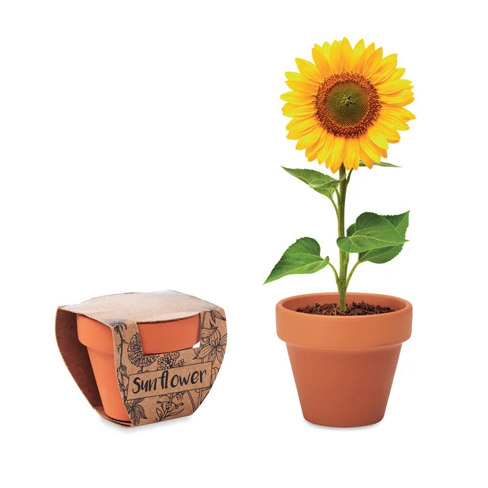 Terrakottatopf 'Sonnenblume'