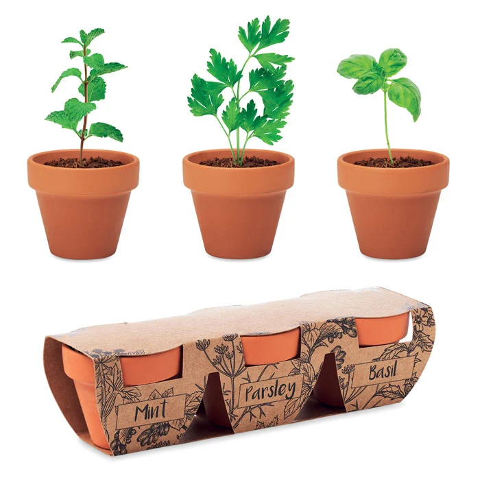 Terrakotta 3er Kräutertopf-Set