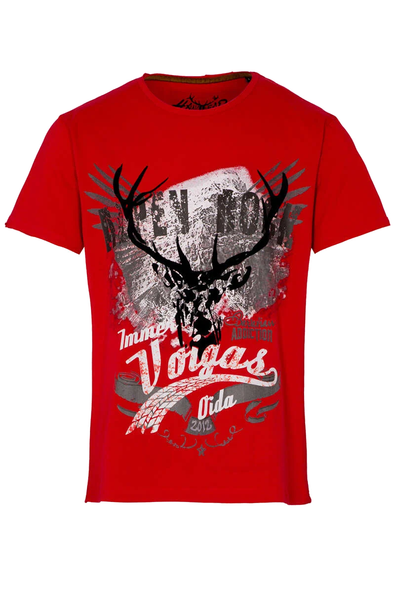 Herren Stretch T-Shirt 'Alpen Rock'