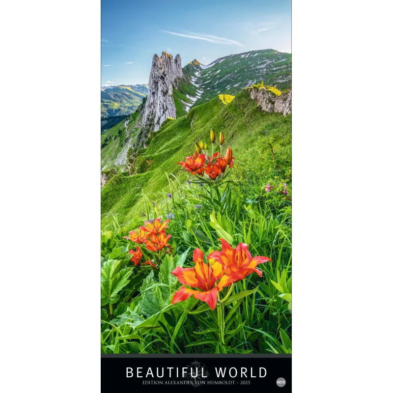 Wunderschöne Welt 2024: Vertikaler Natur- und Landschaftskalender