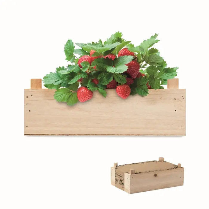 STRAWBERRY Saat-Set für Erdbeeren - Holzdesign