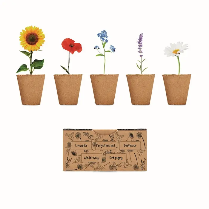 FLOWERS Saat-Set für Sommerblumen in Beige - Einfach Anpflanzen