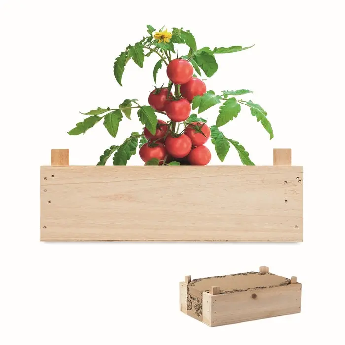 TOMATO Saat-Set für Tomaten - Elegante Holzverpackung
