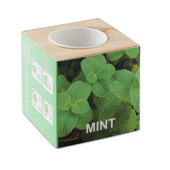 Kräutertopf Holz "MINT"