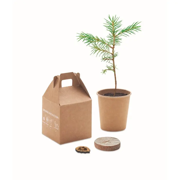 GROWTREE™ Kiefernsamen-Set in Beige - Pflanzen Sie Ihre eigene Kiefer