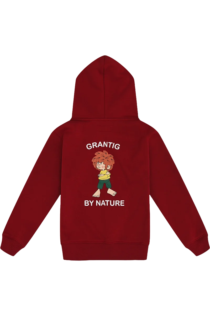 Kinder Hoodie mit Pumuckl-Stickerei und Druck