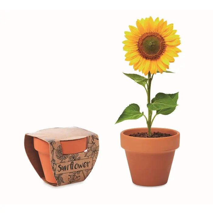 SUNFLOWER Terracotta-Topf mit Holzgestell - Ideal für Sonnenblumen