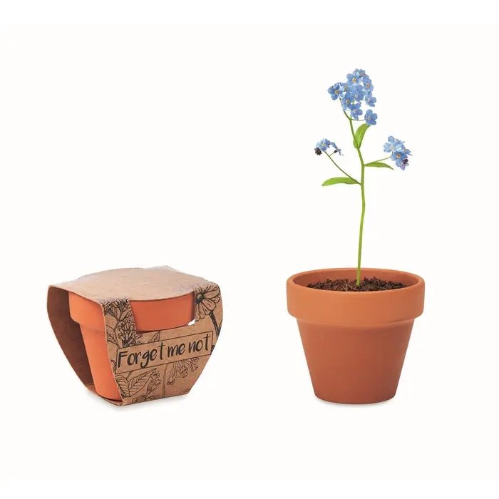 FORGET ME NOT Terracotta-Topf mit Holzuntergestell - Ideal für Vergissmeinnicht