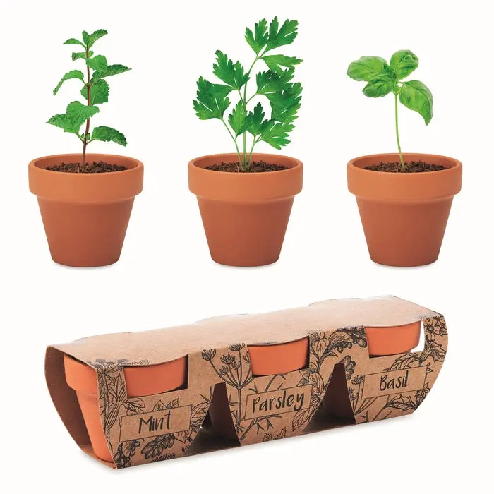 FLOWERPOT Terracotta-Kräuterset – Züchten Sie Kräuter stilvoll in Holzoptik