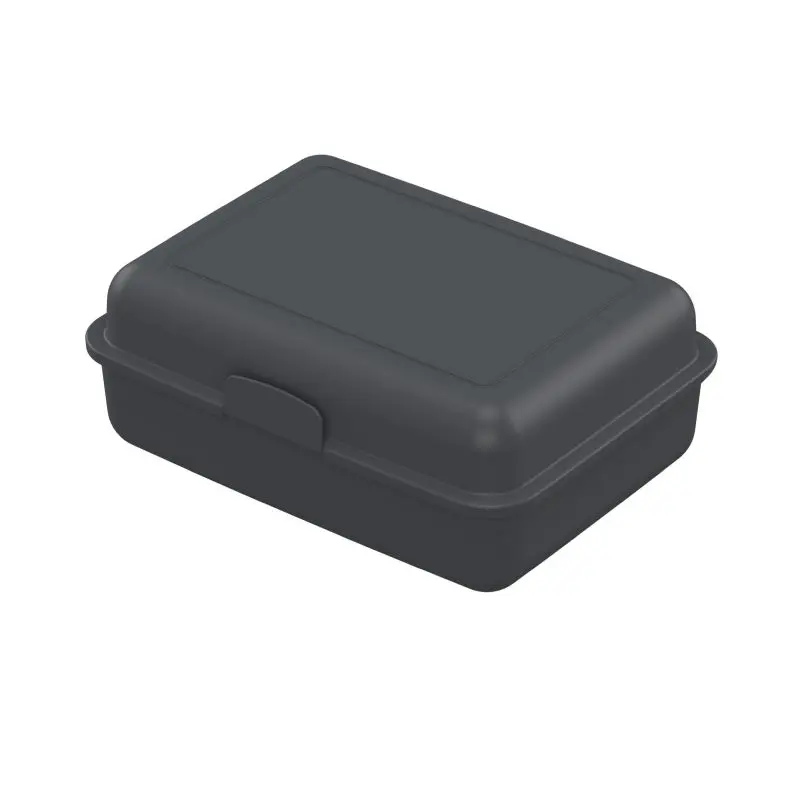 Bio Snack Container Pause-Box - Slate, Eco-Friendly, Stylish, Compact Storage