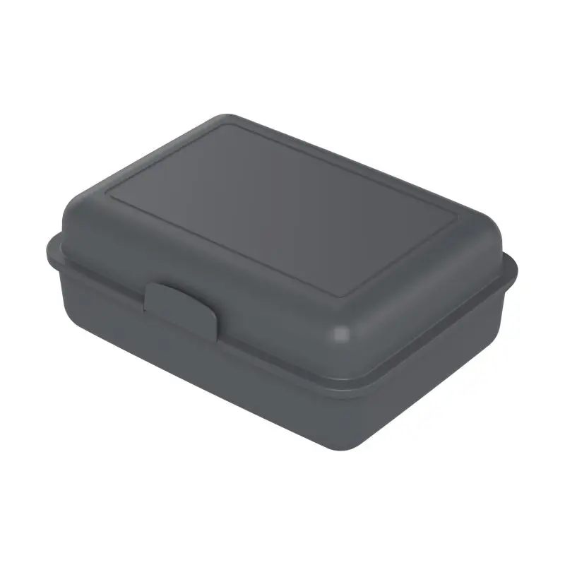 Bio Large School-Box Storage Container - Slate, Eco-Friendly, Durable, Spacious