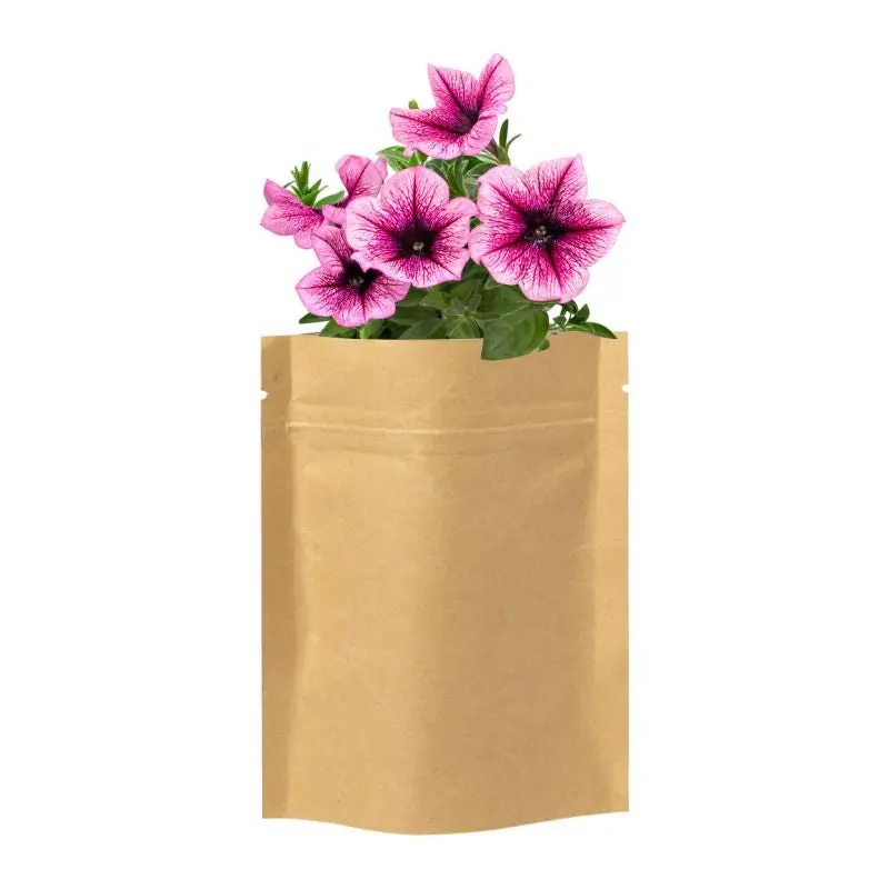 Sober Pflanz-Kit in Beige – Einfach & Stilvoll zu Hause anbauen