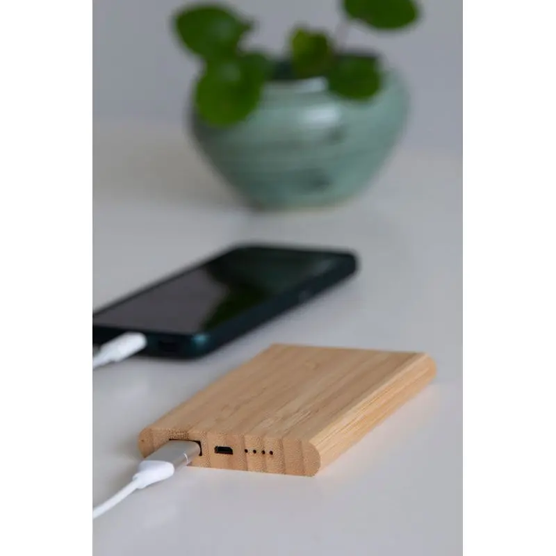 Nachhaltige Powerbank BAMBOO EVOLUTION - Braun, Umweltfreundlicher Tragbarer Akku