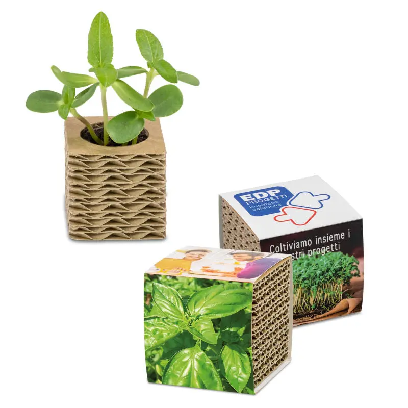 Mini-Pflanzbox aus Wellpappe mit individueller Banderole - Basilikum