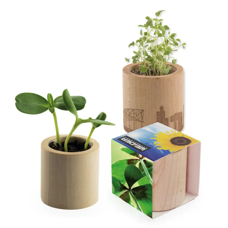 Rundes Pflanz-Holz mit Bedruckter Banderole & Lasergravur - Glücksklee-Zwiebel Set