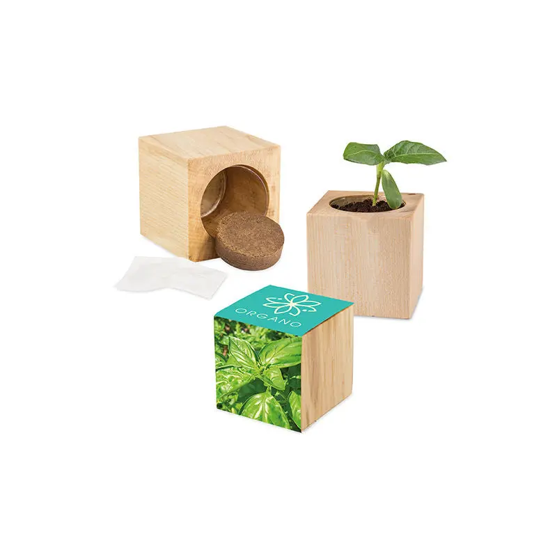 Maxi Pflanz-Set aus Holz mit Basilikum - Standardpapier bedruckt