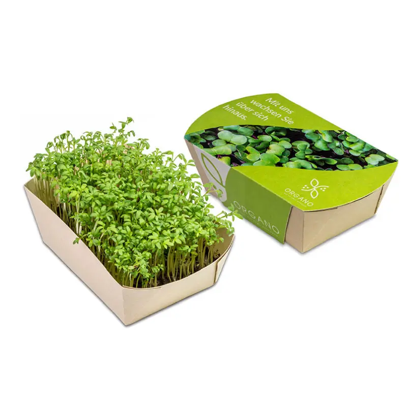 Microgreens-Gärtchen Kresse - Frisch & Gesund Anbauen