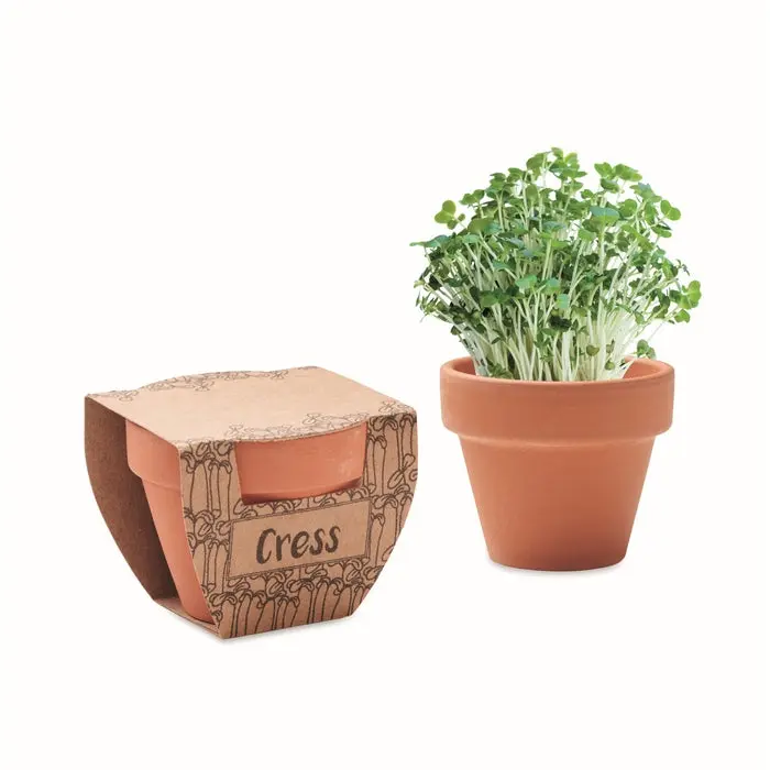 CRESS POT Terrakotta-Topf für Kresse - Natürliches Holzdesign