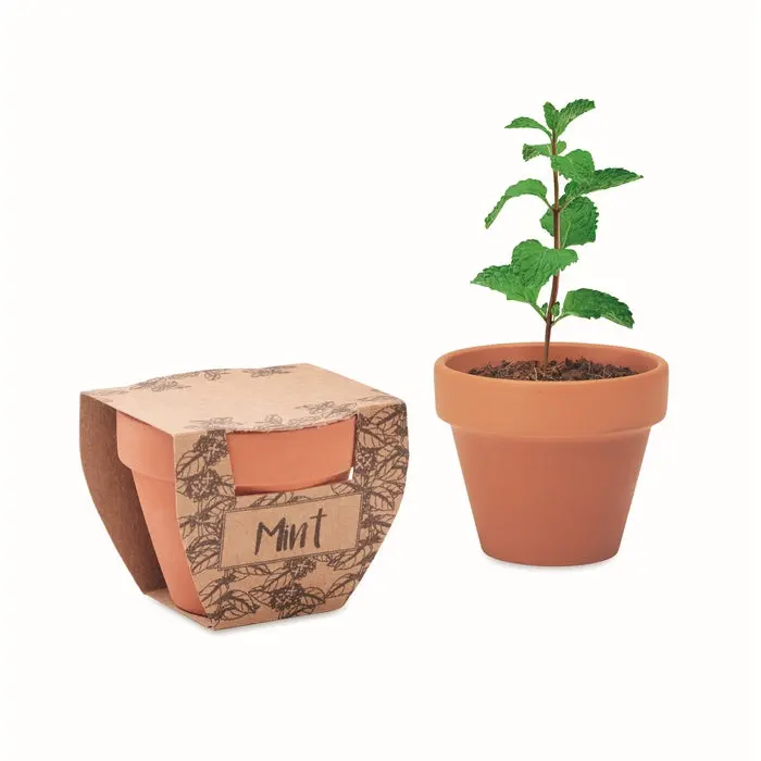 MINT POT Terrakotta-Topf für Minze - Elegantes Holzdesign