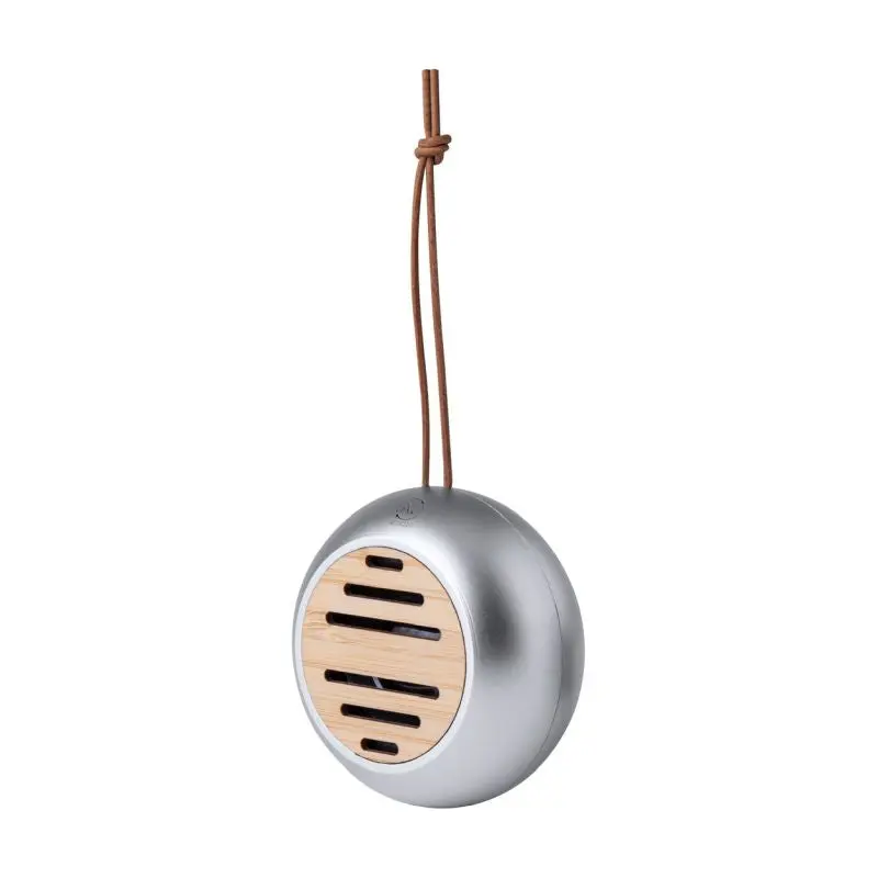 Hiwent Bluetooth-Lautsprecher - Elegantes Silberdesign