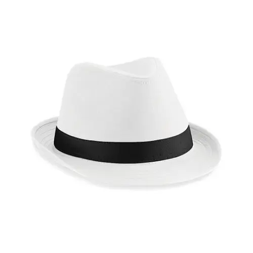 Eleganter Fedora-Hut - Klassisches Design trifft moderne Eleganz