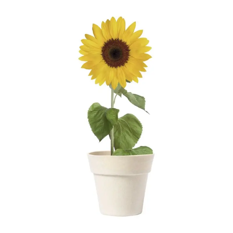 Tumil Blumentopf in Naturfarbe - Schlicht & Ökologisch