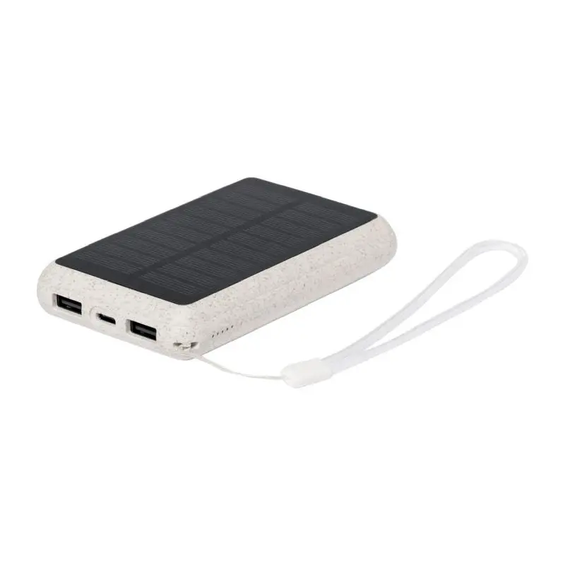 Dawson Powerbank, Hochleistungsakku - Natur, Tragbares Ladegerät