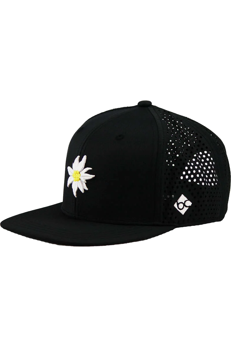 CX49-1 EDELWEIß OUTDOOR