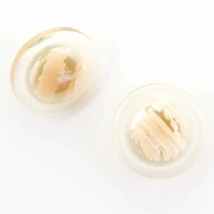 Transparenter Knopf Beige – Kunststoffknopf KD-10